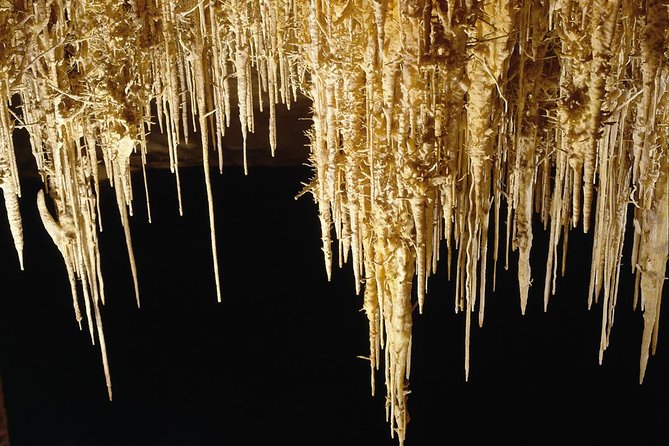 Private Tour: Mallorca Caves of Drach and Majorica Pearl Factory - Porto Cristo: use the town time wisely
