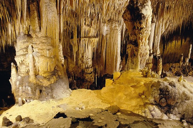 Private Tour: Mallorca Caves of Drach and Majorica Pearl Factory - Who should book this tour