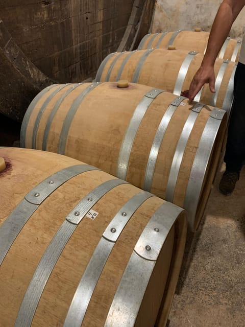 Private tour: Wine and tapas, experience real Mallorca - Key highlights you’ll actually care about