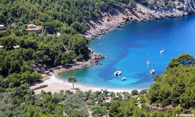 Puerto de Sóller: Cala Tuent Return Boat Trip - Key things I’d circle before you go