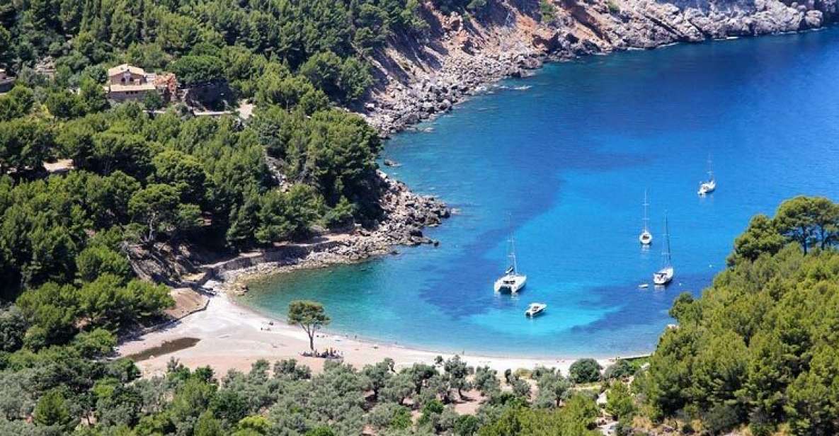 Puerto de Sóller: Cala Tuent Return Boat Trip - Puerto de Sóller: where this trip starts and why timing matters