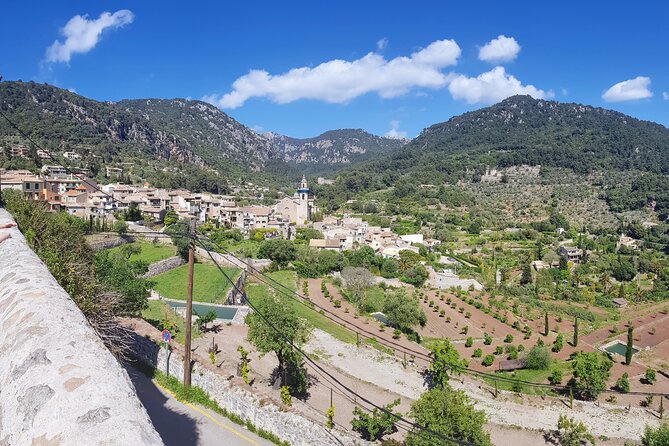 Quad tour from Paguera 3 hours - Sant Elm: The Dragonera Viewpoint That Feels Worth the Pause