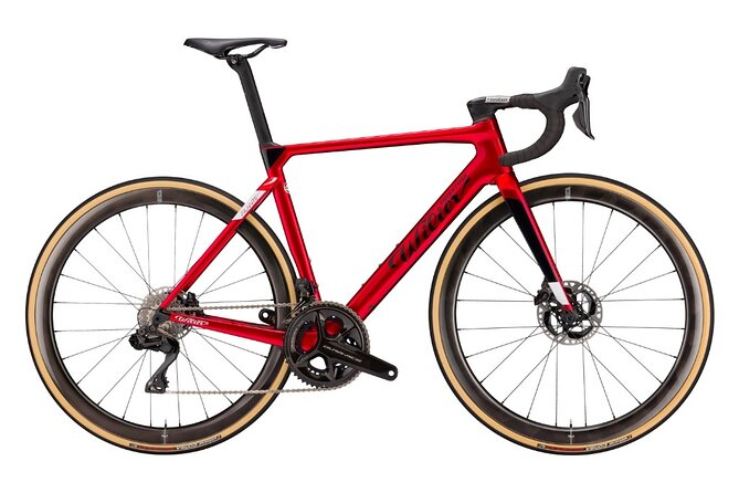 Rental bicycles - Key Things to Know Before You Rent