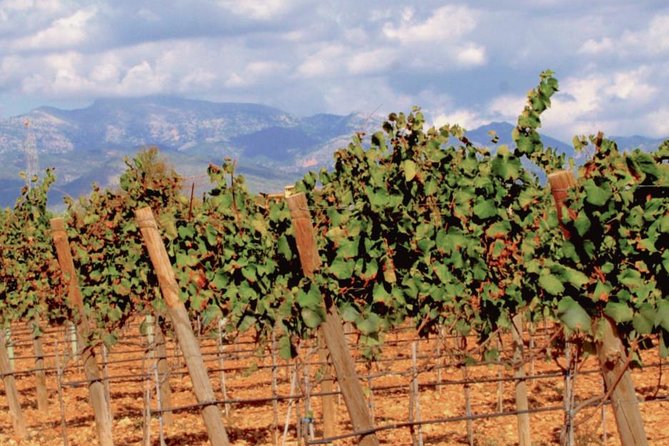 Sa Clasta Wine Tours, Mallorca - Booking, confirmations, and the one planning detail that matters
