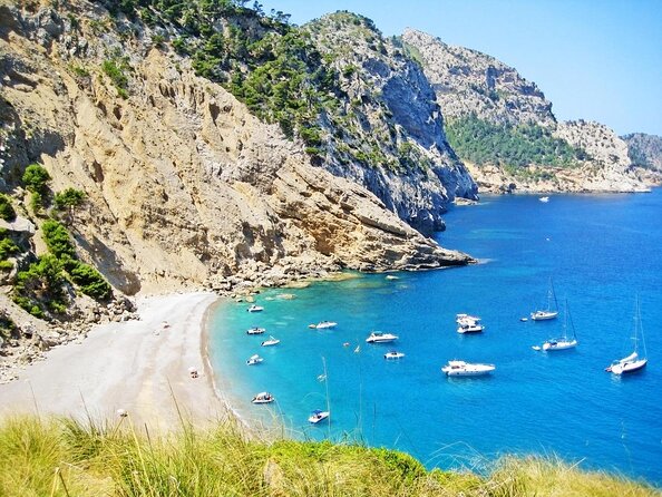 Safari Alcudia Jack Sparrow cave tour 90MIN - Key highlights to know before you go