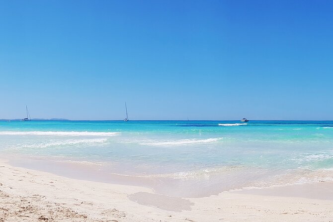 Salobrar Natural Park - Es Trenc Beach - Key Points You’ll Care About