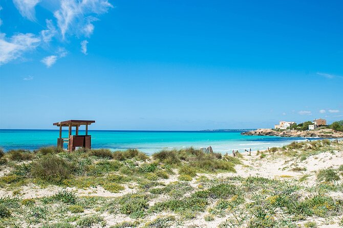 Salobrar Natural Park - Es Trenc Beach - Lunch Options at La Rapita and Ses Covetes
