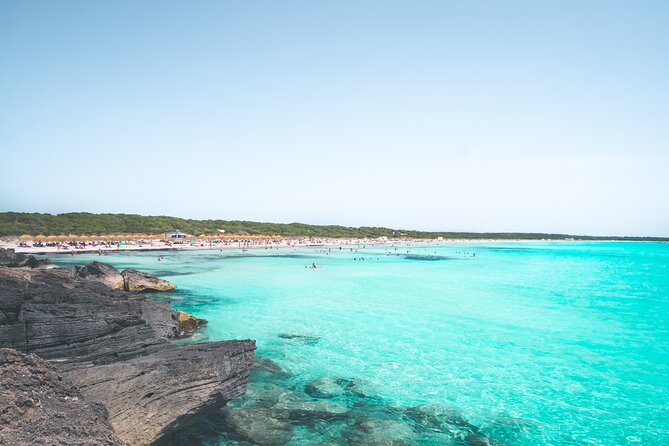 Salobrar Natural Park - Es Trenc Beach - Price and Value: Is $45.12 a Good Deal?