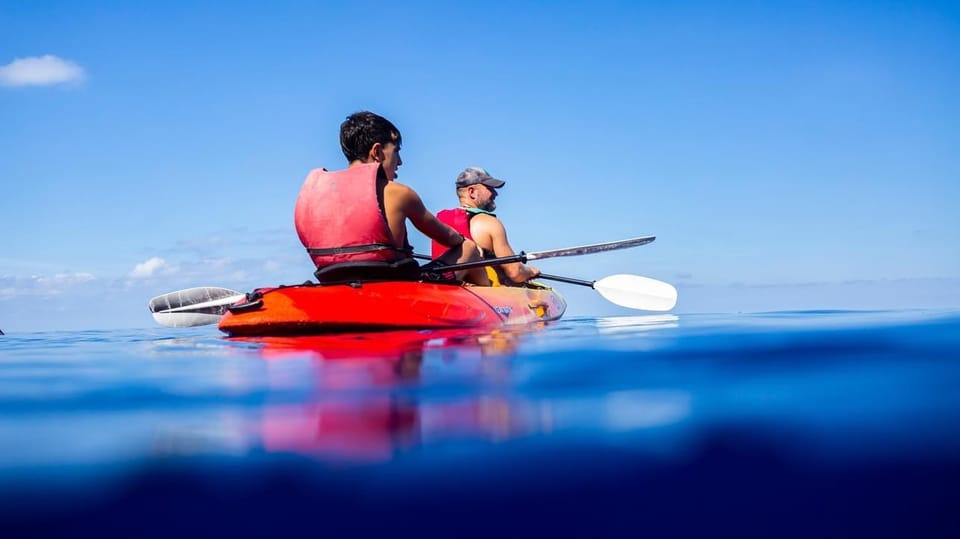 Sant Elm: Guided Kayak Sunset Tour with Picnic in a Cove - Key Things to Know Before You Go