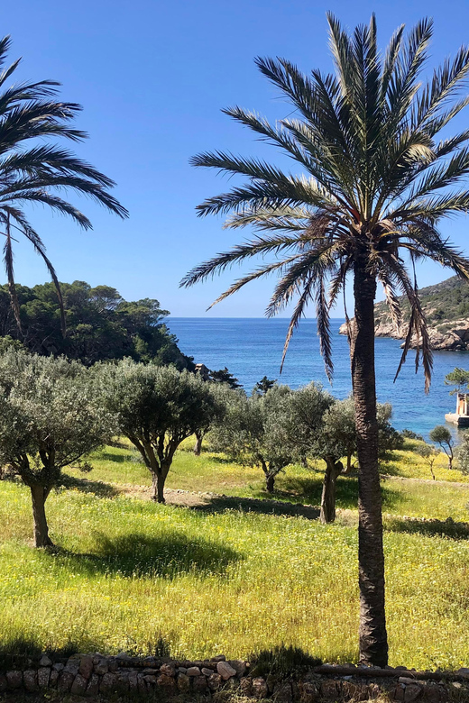 Sant Elm: Guided kayak tour to the Island Dragonera & Hiking - Key highlights you’ll care about