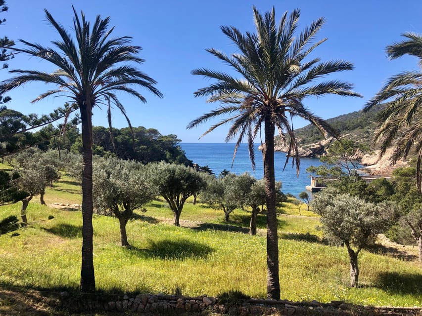 Sant Elm: Guided kayak tour to the Island Dragonera & Hiking - After the tour: making a simple plan for Sant Elm