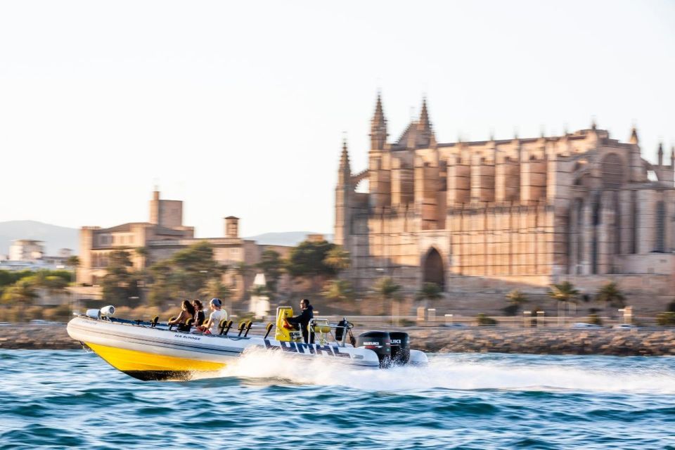 S'Arenal: Boat trip to Illetas with views of Palma - Key highlights at a glance