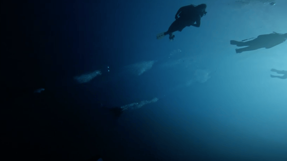 Scuba Diving - Dive for certified divers - Key highlights at a glance