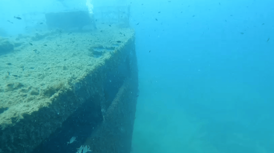 Scuba Diving - Dive for certified divers - Hotel Pickup, Sea Conditions, and Where You Start