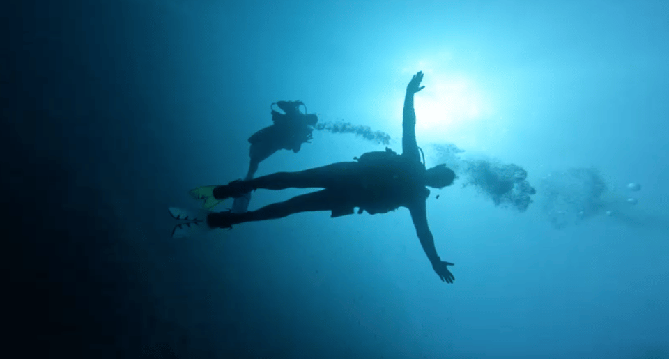 Scuba Diving - Dive for certified divers - Gear Rental and Getting Set Up Without Headaches