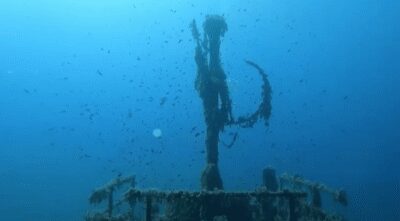 Scuba Diving - Dive for certified divers - The $136 Price: What You’re Really Paying For