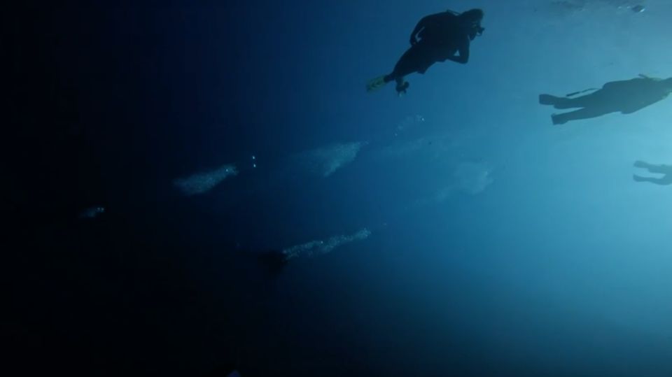 Scuba Diving - Dive for certified divers - What’s Included On Land After You Come Up
