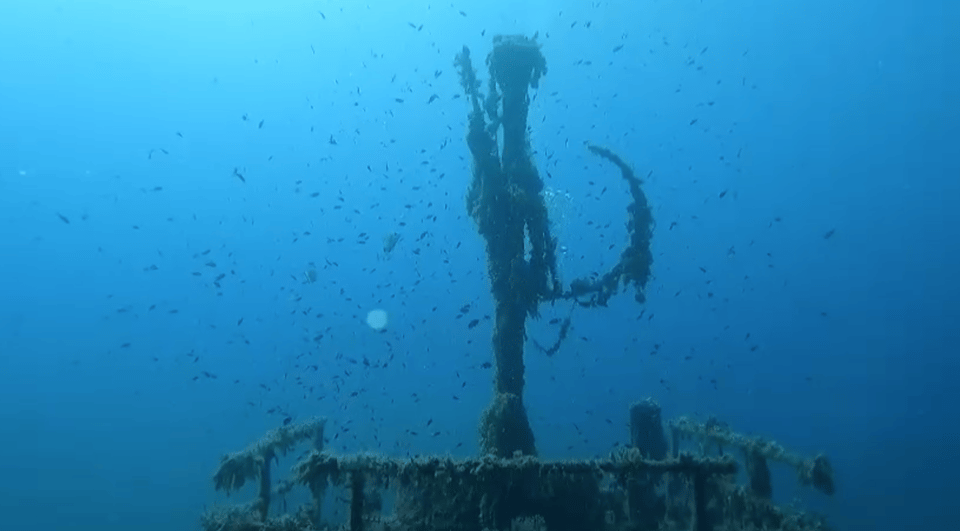 Scuba Diving - Dive for certified divers - The $136 Price: What You’re Really Paying For
