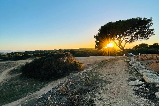 Self-guided Walking Tour and Outdoor Escape Game in Cala Millor, in German - Stop 1: Punta de n’Amer nature resort and your first clues