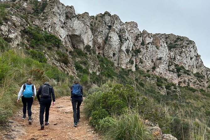 Sierra de Tramuntana hike with small picnic - Hiking through the Sierra de Tramuntana: choose your trail level