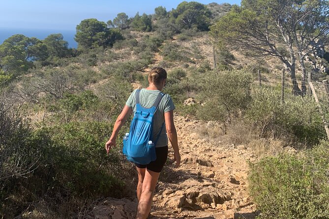 Sierra de Tramuntana hike with small picnic - Pace, language, and group size: the practical comfort factor