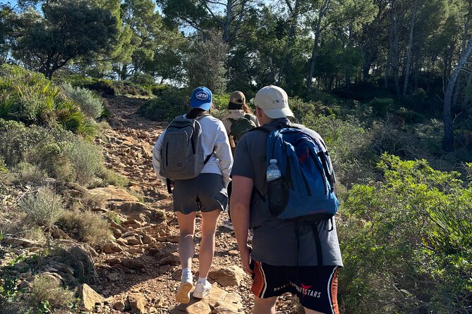 Sierra de Tramuntana hike with small picnic - Getting started in Palma: the easy-to-find meeting spot