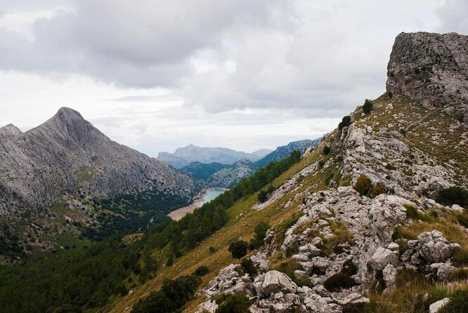Small-Group Cliff Jumping Experience in Mallorca - Abseiling, climbs, and the jump ladder (from 2m up to 33ft)