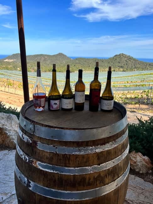 Small group- Exclusive Olive Oil & Wine Tour Mallorca - Price and Value: Is $221 a Smart Spend?
