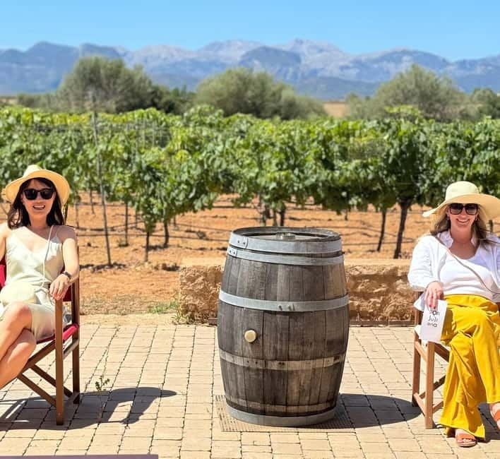 Small group- Exclusive Olive Oil & Wine Tour Mallorca - From Hotel Door to Olive Mill: The Easy Start That Sets the Tone
