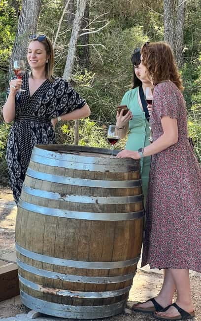 Small group- Exclusive Olive Oil & Wine Tour Mallorca - Mallorca Wine History, Explained Without Making It a Lecture
