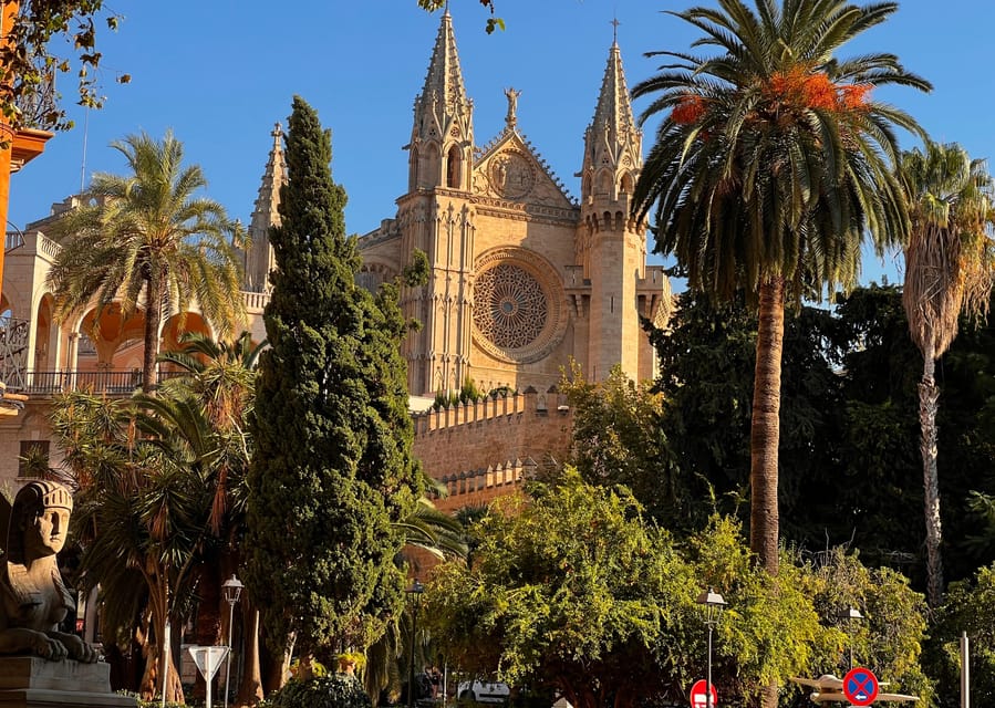 Small group- Exclusive Olive Oil & Wine Tour Mallorca - How the 7 Hours Feel on the Ground