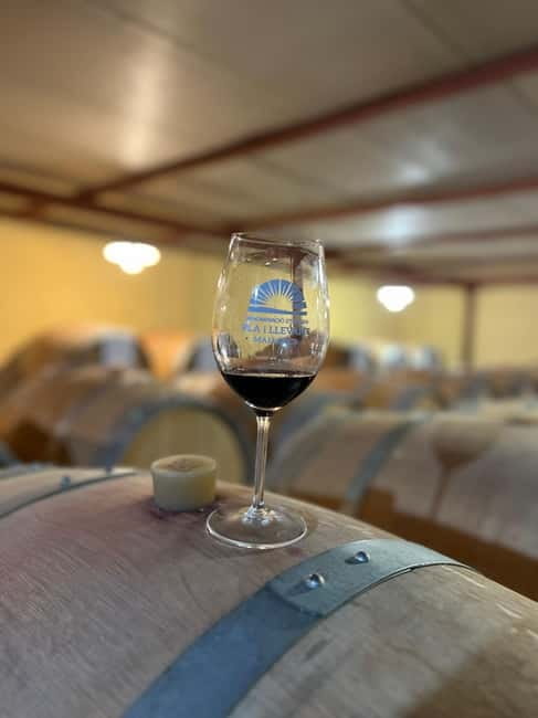 Small group- Exclusive Olive Oil & Wine Tour Mallorca - Who This Tour Fits Best (And Who Should Skip It)