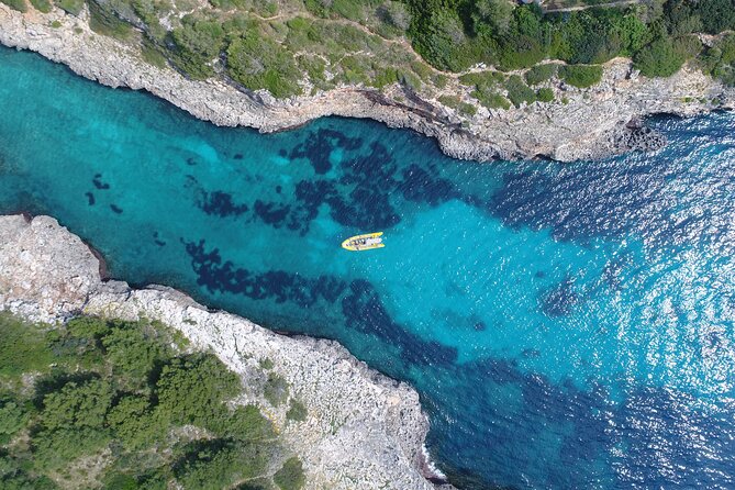 Snorkeling in the Natural Park of Mallorca by boat - Crew Service That Actually Helps: Friendly, Attentive, and Clear