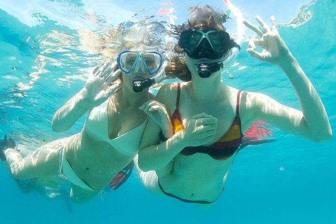 Snorkeling Tour to the Malgrats Islands by boat - Key highlights worth marking on your map