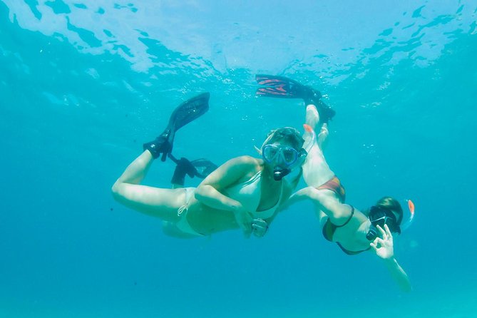 Snorkeling Tour to the Malgrats Islands by boat - Snorkel time in crystal water: what the monitoring looks like