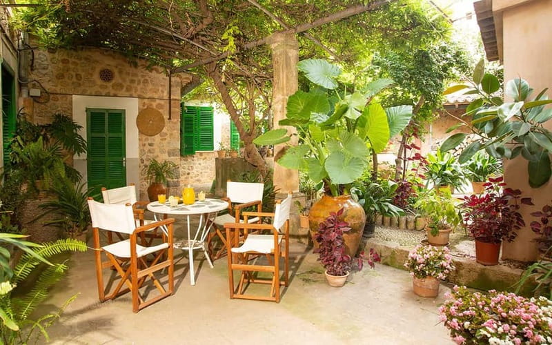 Sóller: Olive Oil Guided Tour and Tasting at Can Det Estate - Key moments you shouldn’t miss