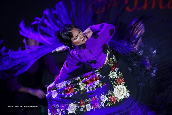 Tablao Flamenco Alma - Live Flamenco Show - Where Tablao Flamenco Alma Fits in Palma