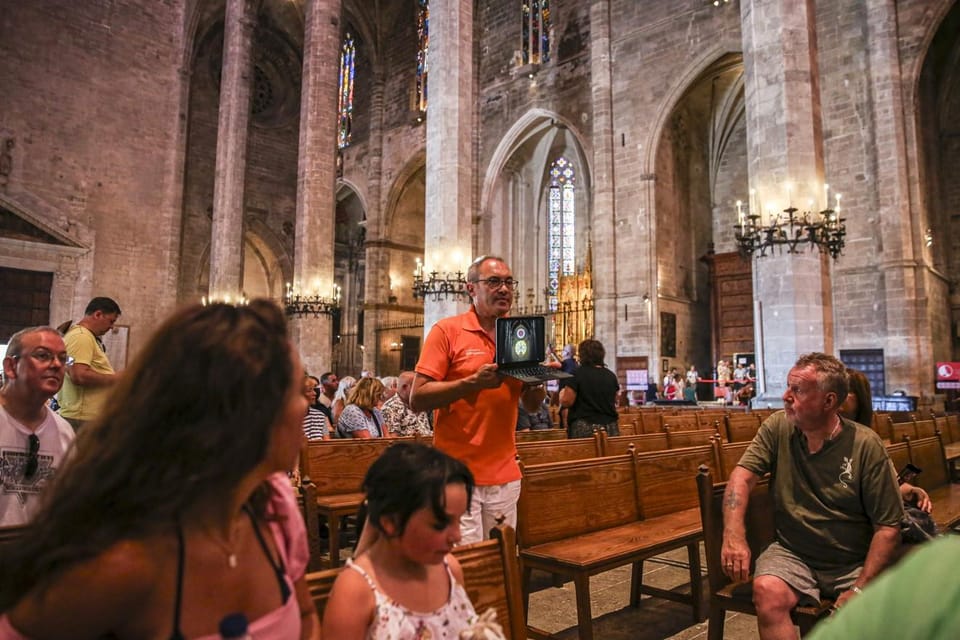 The Best of Palma: Boat trip, Walking tour and Cathedral - Price and value: where the $46 per person really goes