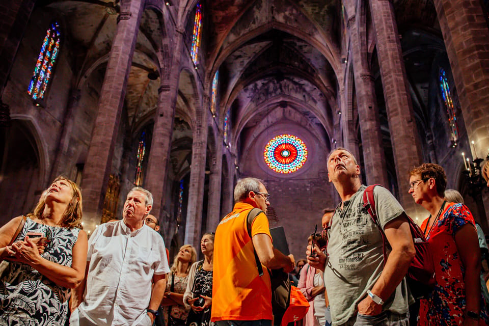 The Best of Palma: Boat trip, Walking tour and Cathedral - Quick planning notes that make the difference