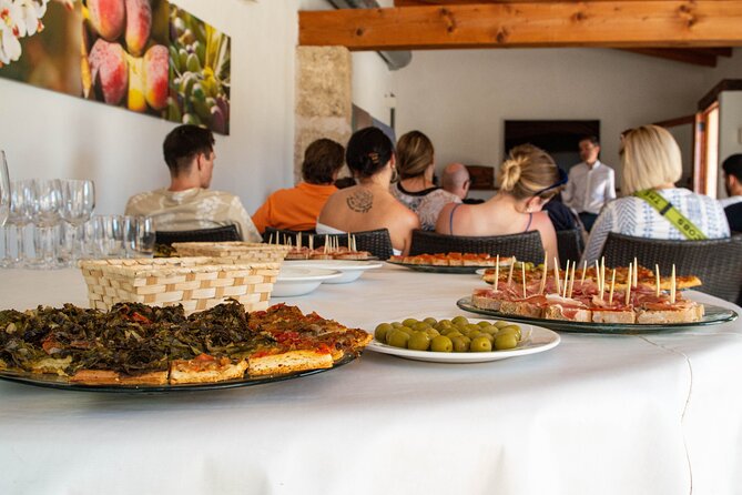 Tour to olive grove and olive mill, oil tasting and snack - Oil tasting that actually teaches: compare, not just sip