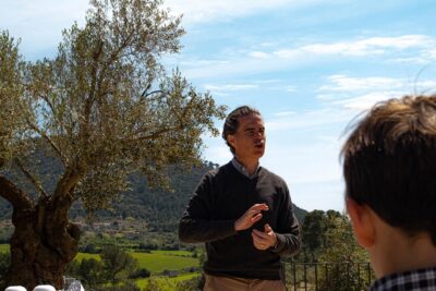 Tour to olive grove and olive mill, oil tasting and snack - Inside the olive mill: how EVOO production actually works