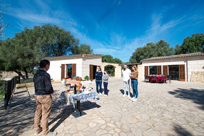 Tour to olive grove and olive mill, oil tasting and snack - The Majorcan snack (and why it feels like a meal)