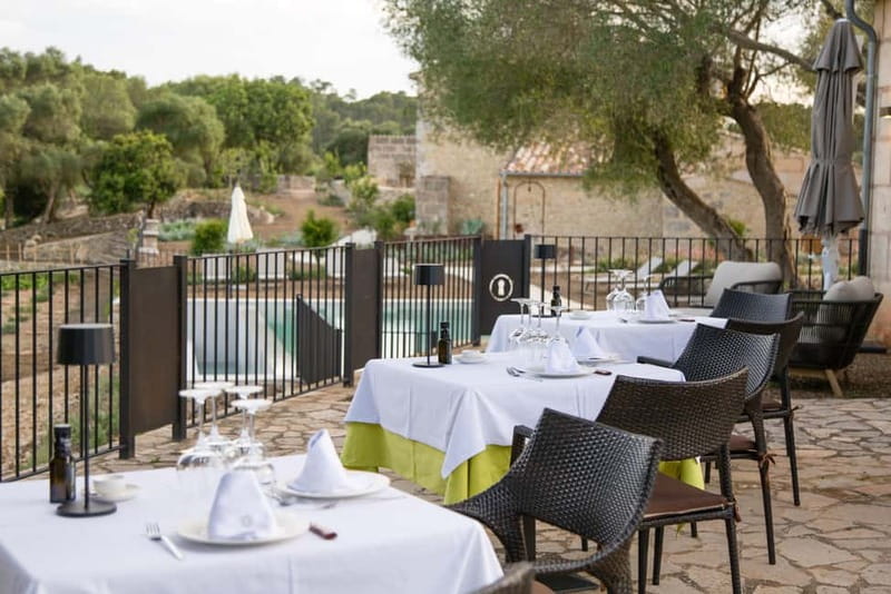 Treurer: Olive Oil Night. Gastronomic experience - The 6 PM rhythm: why this evening works so well on Mallorca