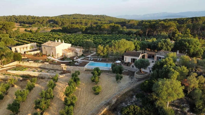 Treurer: Olive Oil Night. Gastronomic experience - Meeting at Finca Treurer: what the start feels like
