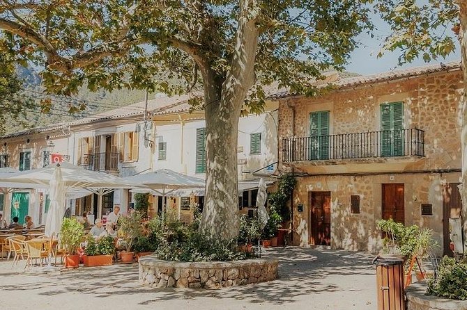 Valdemossa Half Day Tour - Key highlights you’ll feel right away