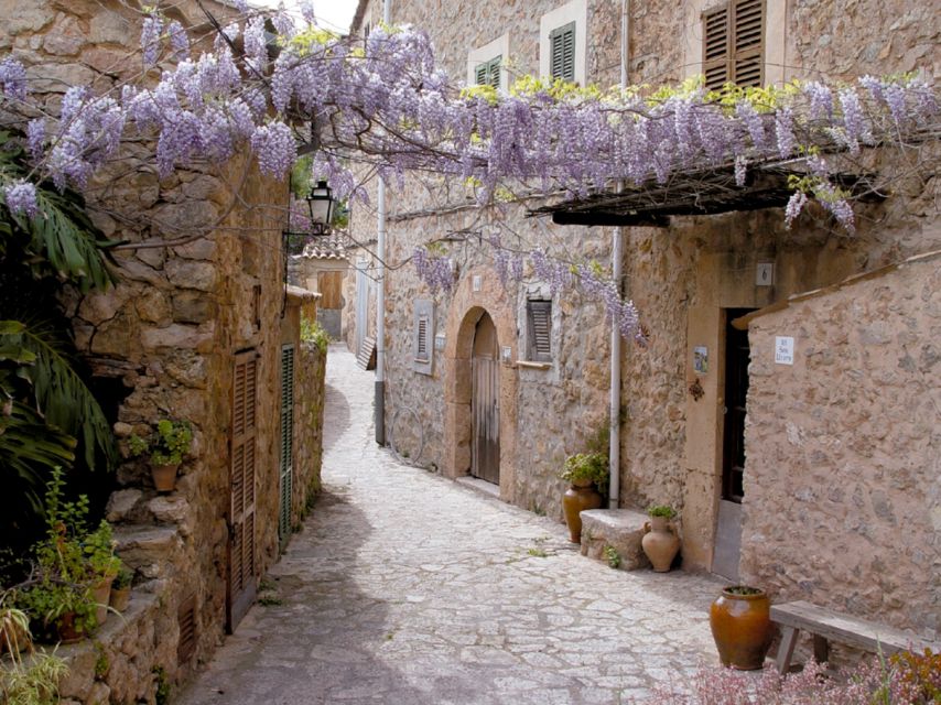 Valldemossa: Discover Valldemossa with a transfer from Palma - Key Stops Worth Noticing in Valldemossa