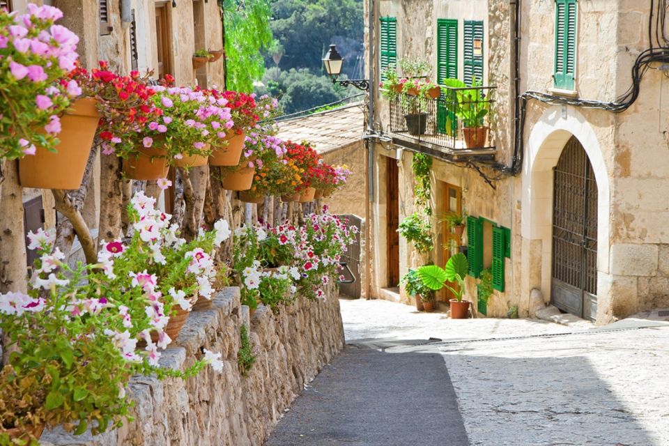 Valldemossa: Discover Valldemossa with a transfer from Palma - Free Time in Valldemossa: How to Use Your Hour Like a Local