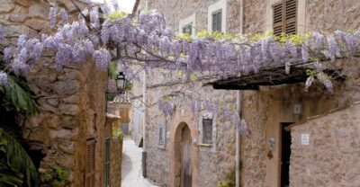 Valldemossa: Discover Valldemossa with a transfer from Palma - Walking Tour Focus: Stone Streets and the Tramuntana Story