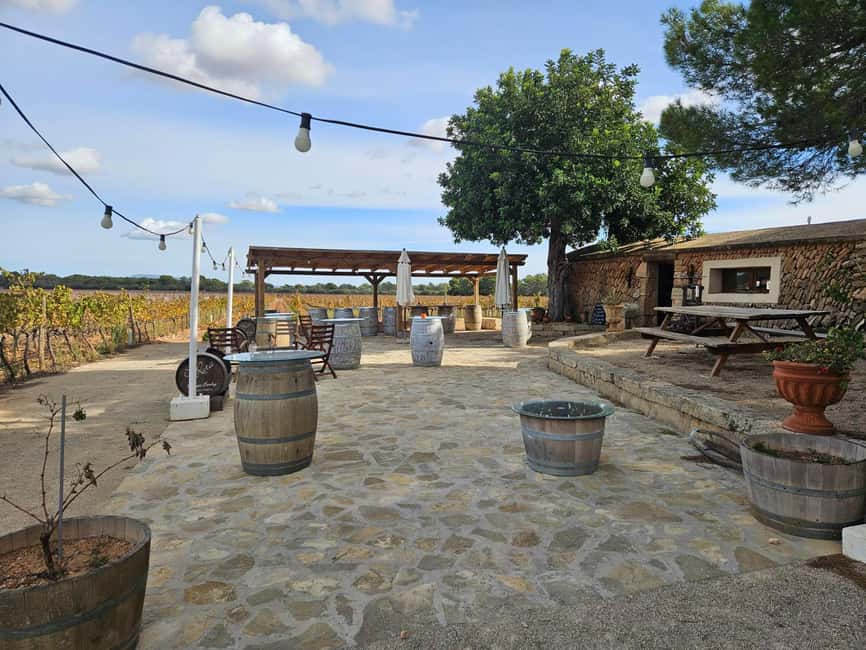 VISIT BODEGAS BORDOY ,DEGUSTACION 5 WINES, FINGER FOOD - Getting to Bodegas Bordoy near Llucmajor (and not losing time)