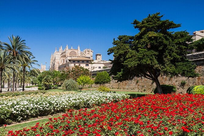 Visit Palma and Valldemossa - Key highlights you should care about